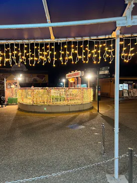 ひらかたパークに投稿された画像（2025/2/23）