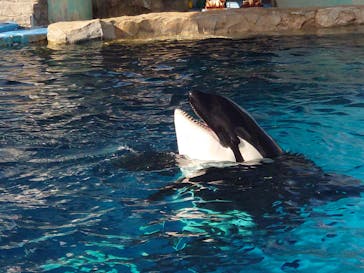 名古屋港水族館に投稿された画像（2025/2/23）