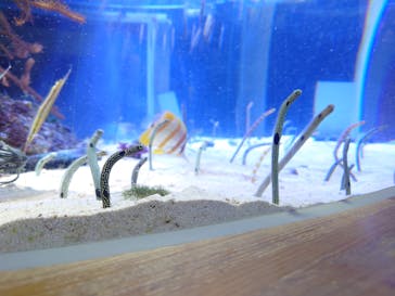 名古屋港水族館に投稿された画像（2025/2/23）