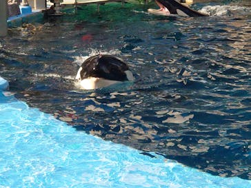 名古屋港水族館に投稿された画像（2025/2/23）