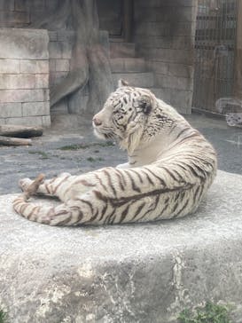 東武動物公園に投稿された画像（2025/2/23）