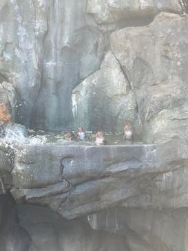 東武動物公園に投稿された画像（2025/2/23）