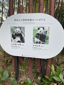 恩賜上野動物園に投稿された画像（2025/2/23）