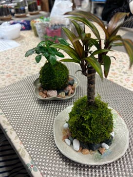 カルチャースクールいろはに投稿された画像（2025/2/23）