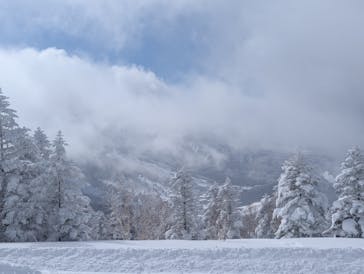 志賀高原マウンテンリゾートに投稿された画像（2025/2/23）