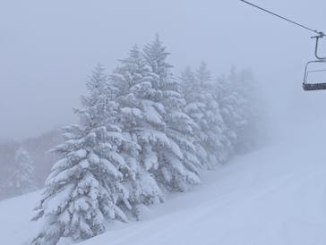 志賀高原マウンテンリゾートに投稿された画像（2025/2/23）