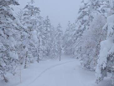 志賀高原マウンテンリゾートに投稿された画像（2025/2/23）