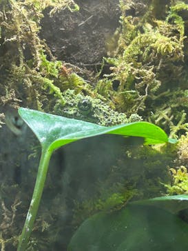 カワスイ 川崎⽔族館に投稿された画像（2025/2/23）