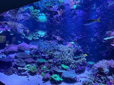 大分マリーンパレス水族館 「うみたまご」に投稿された画像（2025/2/23）