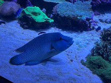 大分マリーンパレス水族館 「うみたまご」に投稿された画像（2025/2/23）