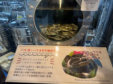 おきなわワールドに投稿された画像（2025/2/23）