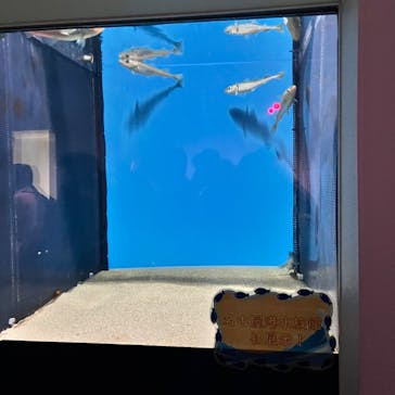 名古屋港水族館に投稿された画像（2025/2/23）