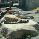 東武動物公園に投稿された画像（2025/2/23）