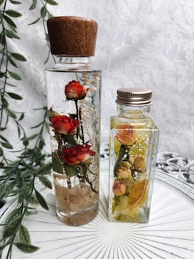 ずこうしつ〜sugamo〜に投稿された画像（2025/2/23）