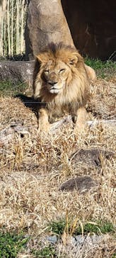 千葉市動物公園に投稿された画像（2025/2/23）