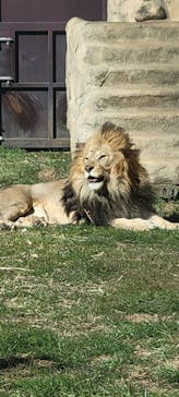 千葉市動物公園に投稿された画像（2025/2/23）