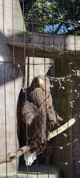 千葉市動物公園に投稿された画像（2025/2/23）