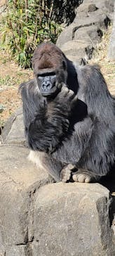 千葉市動物公園に投稿された画像（2025/2/23）