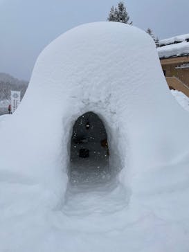 タザワコサウナに投稿された画像（2025/2/23）