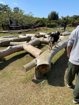 ビオスの丘に投稿された画像（2025/2/23）