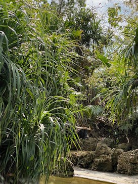 ビオスの丘に投稿された画像（2025/2/23）