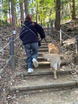 ムーミンバレーパークに投稿された画像（2025/2/23）