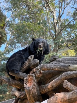 恩賜上野動物園に投稿された画像（2025/2/23）