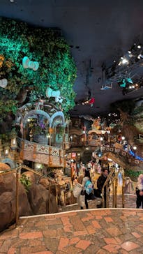 サンリオピューロランドに投稿された画像（2025/2/23）