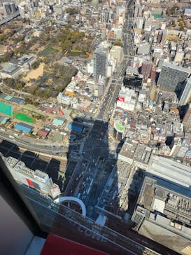 ハルカス300(展望台)に投稿された画像（2025/2/23）