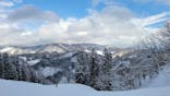村上市ぶどうスキー場に投稿された画像（2025/2/23）