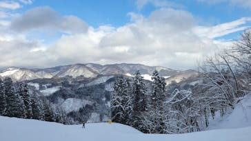 村上市ぶどうスキー場に投稿された画像（2025/2/23）