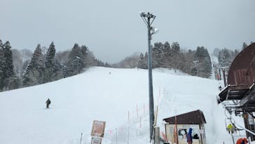 村上市ぶどうスキー場に投稿された画像（2025/2/23）