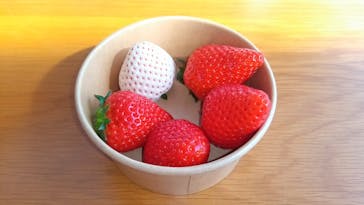 いちご農園フルッティロッシに投稿された画像（2025/2/23）