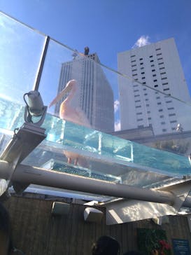 サンシャイン水族館に投稿された画像（2025/2/23）