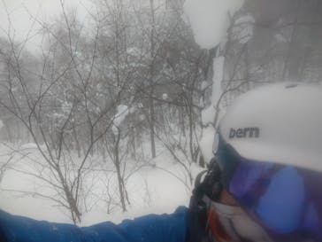 リトルピークスに投稿された画像（2025/2/23）