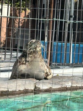 恩賜上野動物園に投稿された画像（2025/2/23）