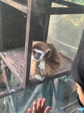 恩賜上野動物園に投稿された画像（2025/2/23）