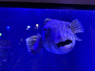 竹島水族館に投稿された画像（2025/2/23）