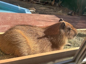 竹島水族館に投稿された画像（2025/2/23）