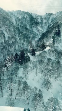 苗場スキー場に投稿された画像（2025/2/23）