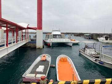 Sea World（シーワールド）に投稿された画像（2025/2/23）