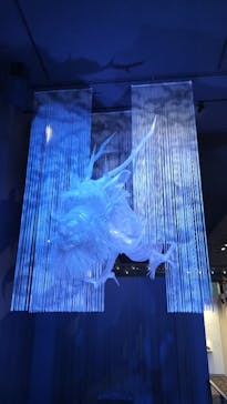 滋賀県立琵琶湖博物館に投稿された画像（2025/2/23）