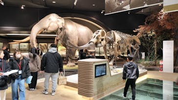 滋賀県立琵琶湖博物館に投稿された画像（2025/2/23）