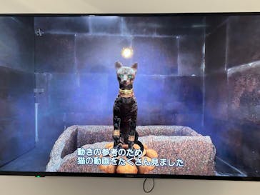 IMMERSIVE JOURNEYに投稿された画像（2025/2/23）