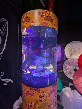 UWS AQUARIUM GA☆KYOに投稿された画像（2025/2/23）