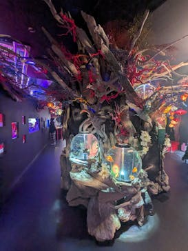 UWS AQUARIUM GA☆KYOに投稿された画像（2025/2/23）