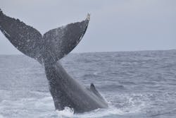 NEWS那覇店に投稿された画像（2025/2/23）