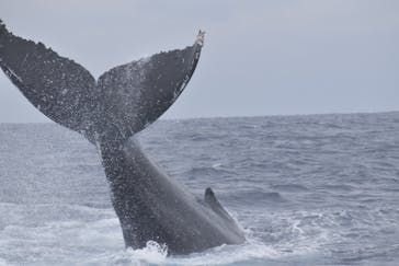 NEWS那覇店に投稿された画像（2025/2/23）