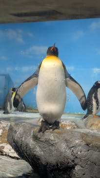 鴨川シーワールドに投稿された画像（2025/2/23）