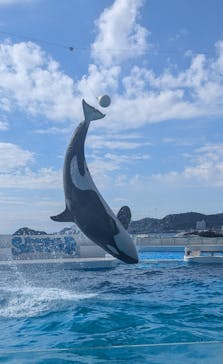 鴨川シーワールドに投稿された画像（2025/2/23）